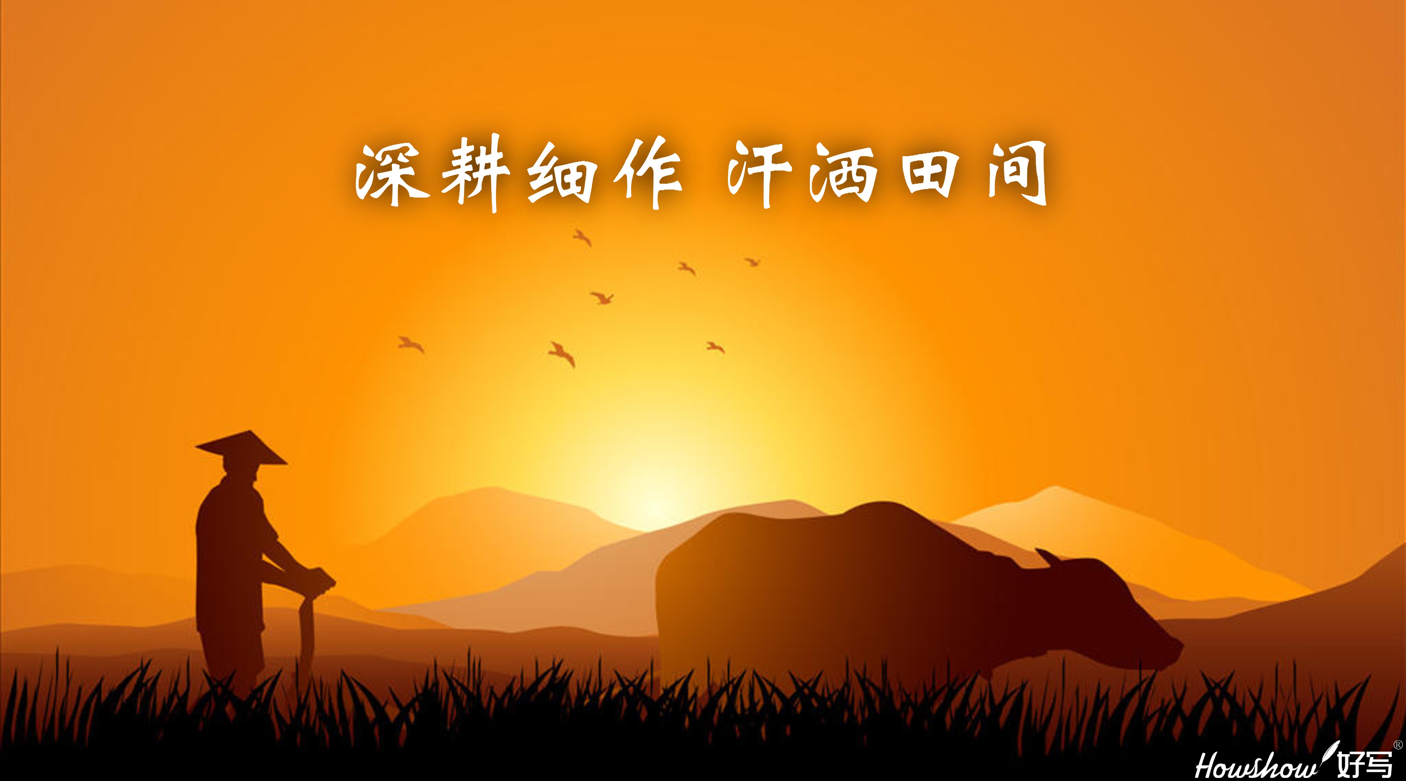 深耕細(xì)作·汗灑田間 ‖ 一場從內(nèi)到外的革新，正在好寫拉開帷幕！